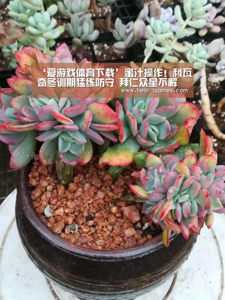 ‘爱游戏体育下载’蜜汁操作!科瓦奇冬训期猛练防守 拜仁众星不解(图1) 爱游戏下载